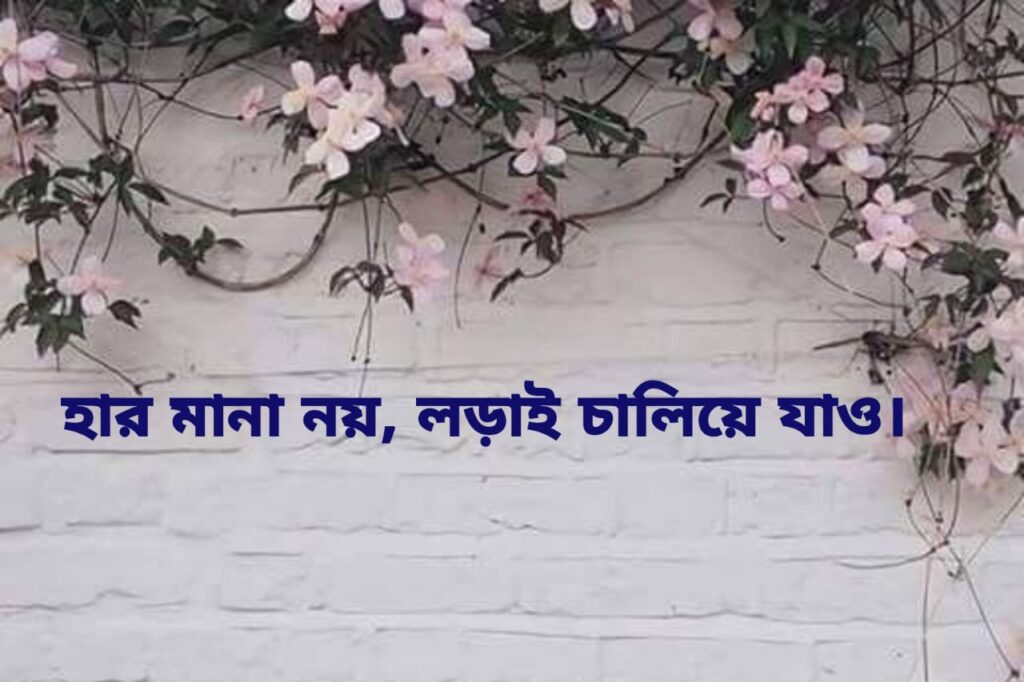 হার মানা নয় লড়াই চালিয়ে যাও।